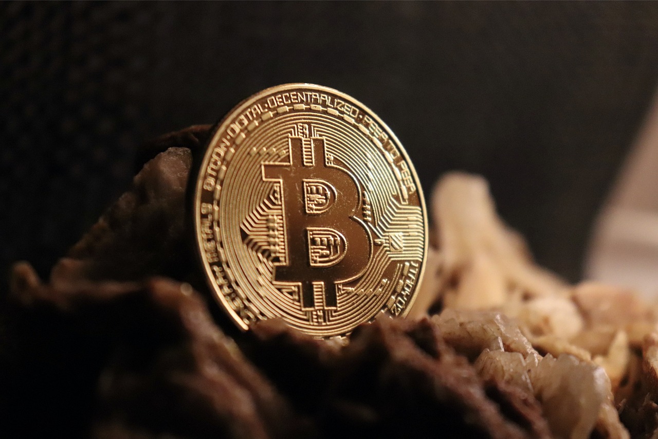 Evaluating the Performance of New Crypto Projects